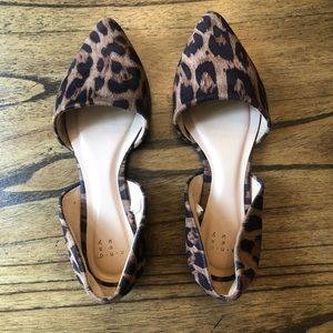 A New Day Pointed Ballet Flats